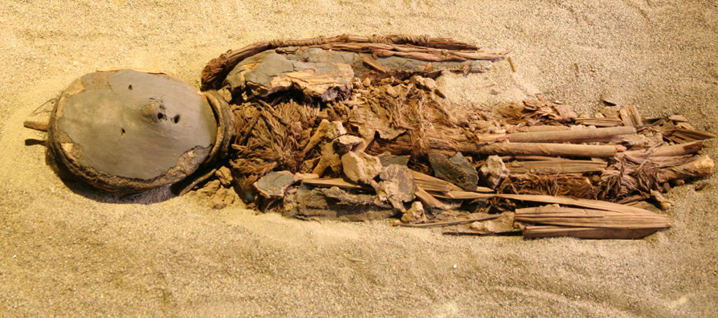 Múmia de criança Chinchorro.