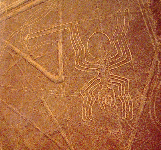 Aranha. Linhas nazcas, Peru