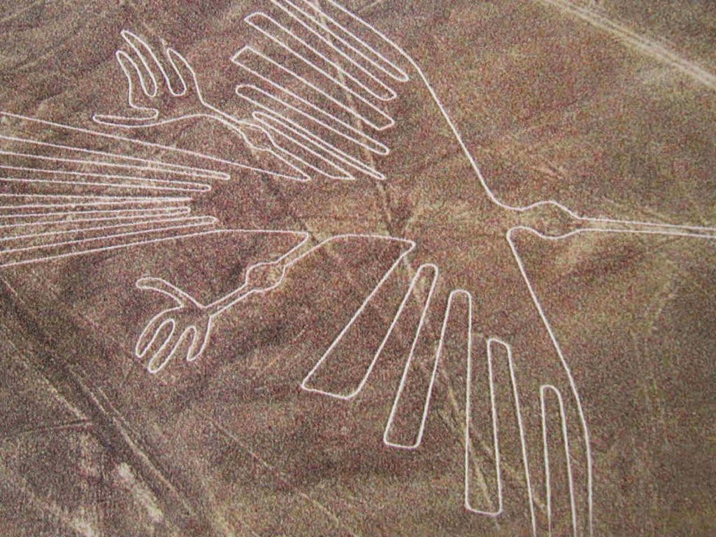 Condor. Linhas nazcas, Peru