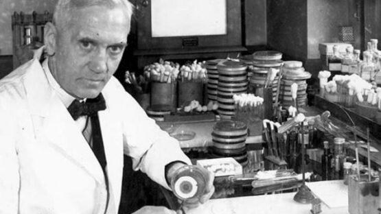 Alexander Fleming descobre a penicilina