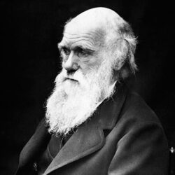 Foto de Charles Darwin (1809-1882) e caricatura Darwin com um corpo de macaco publicada na revista Hornet, 1878.