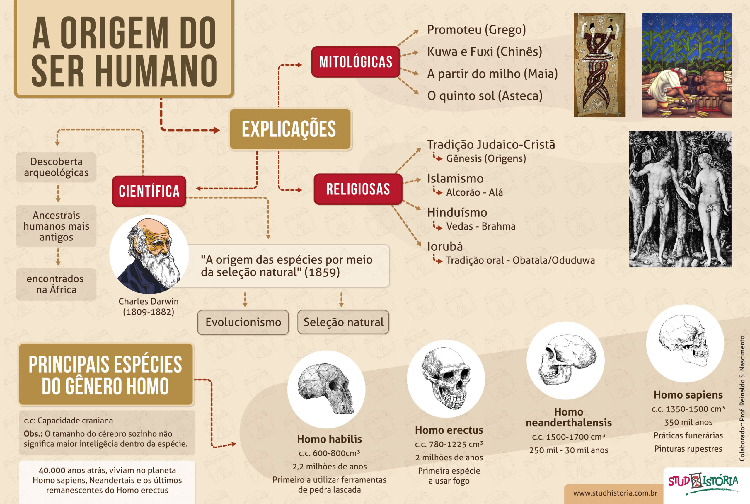 O ensino da história no Brasil: origens e significados