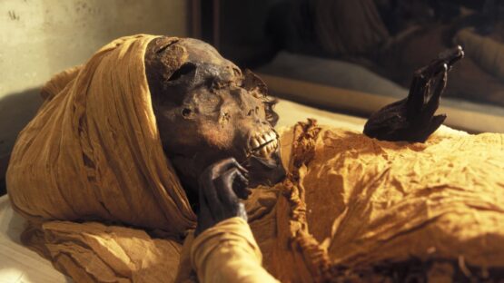 A morte violenta do faraó Sekenenré: novas revelações da tomografia
