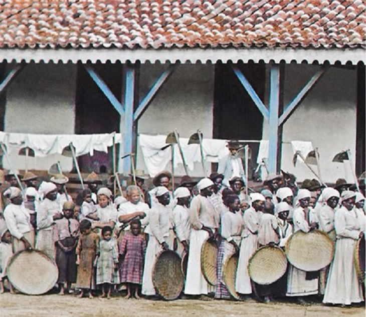 Na trilha da Independência - StudHistória