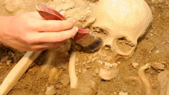 De onde viemos? 16 perguntas sobre a Evolução Humana para os professores de História