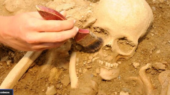 De onde viemos? 15 perguntas sobre a Evolução Humana para os professores de História